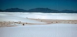 dune scenic