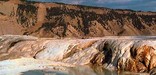 The brilliant colors of a hot spring at Mammoth Terraces.