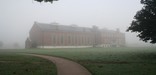 Foggy Fall Morning
