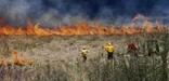 Beginning 'Back Burn' for Controlled Burn
