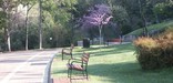The red brick Grand Promenade has benches for resting and in the spring, redbud trees blooming.