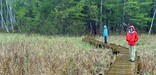 Wetlands along the Ice Age Trail can be enjoyed from boardwalks like this one which was constructed by volunteers.
