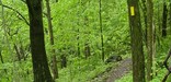 The Ice Age Trail is marked with yellow blazes.