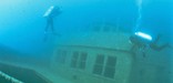 A scuba diver moves over the Condon on the west side of the Island.