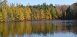 Scenic Fall Picture of Lake on the Chequamogon National Forest