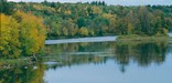 The trees surrounding the river are starting to turn yellow and orange with the arrival of fall