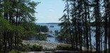 Anderson Bay scenic lakeshore in summer