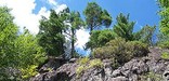 trees decorate a rocky outcrop in summer