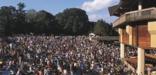 Filene Center lawn filled with patrons