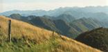 Max Patch