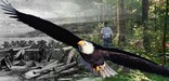 historical drawing, modern day hiker, and bald eagle