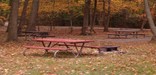 a campsite in the Greenbelt Park campground