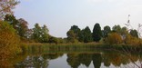 Fishing ponds at Manassas