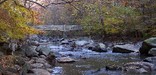 Rapids Bridge in fall