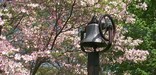 This old farm bell is rung before each show at the Filene Center.