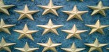 Field of Stars