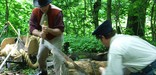 Loghewing demonstration