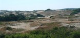 The dunes of  the Province Lands, Provincetown
