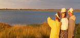 Birdwatching - Nelson's Island - Rowley