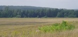 View of the Flight 93 crash site from the Flight 93 Temporary Memorial