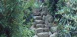 Stairs into the hollow at Olmsted National Historic Site