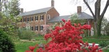 Azaleas at Chatham Manor