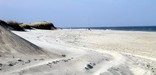 Beach scene in the Sandy Hook Unit.