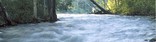 Great Egg Harbor National Scenic River