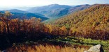 A valley of fall colors in the foreground and Old Rag Mountain in the background.