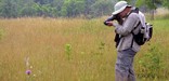 A visitor with a camera pauses in Big Meadows to photograph a purple thistle.