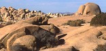 Rockscape