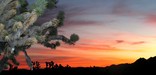 photo of sunset