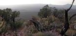 photo of Cima Dome.