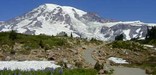 Mount Rainier from Paradise