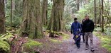 A family explores trails through big cedars in Newhalem area