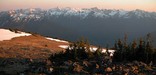 Olympic National Park - View from mountain pass