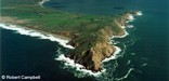 Point Reyes Headlands © Robert Campbell