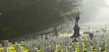San Francisco National Cemetery