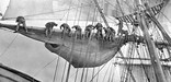 Sailors aloft furling a sail on a square rigged ship.