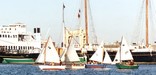 A flock of Pelican sailboats race past the historic fleet of vessels at Hyde Street Pier.