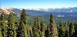 The Giant Forest in Sequoia National Park.