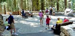 New General Sherman Tree Trail.