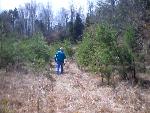 Overlook Trail