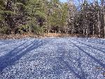 Frozen Pond