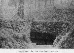 Cave Spring