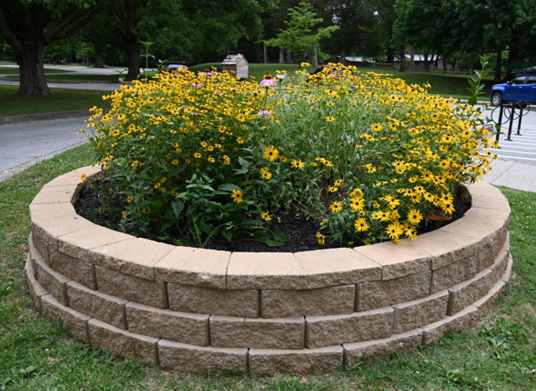 flower bed, stone circle