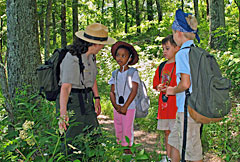SHEN_JrRanger SHEN_JrRanger
