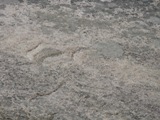 Glacial Chatter Marks