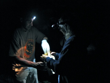 Helping bag bats