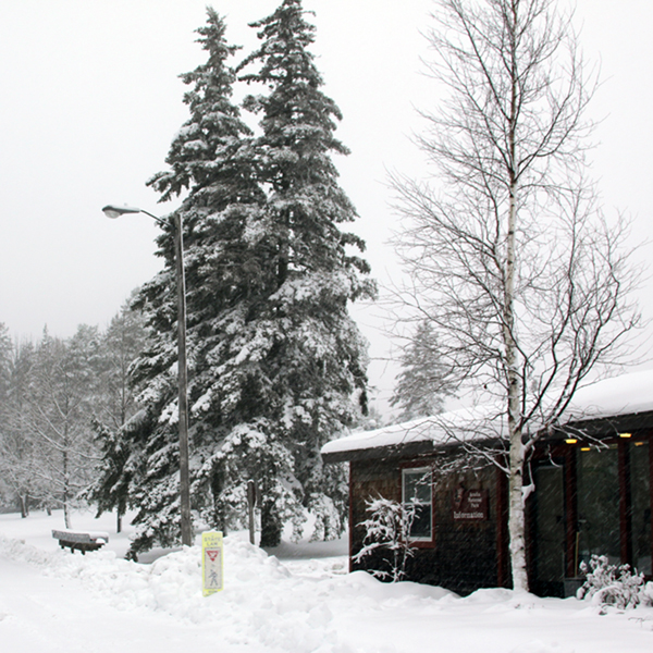 Snow Storm at Acadia Park Headquarters
November 23, 2011
